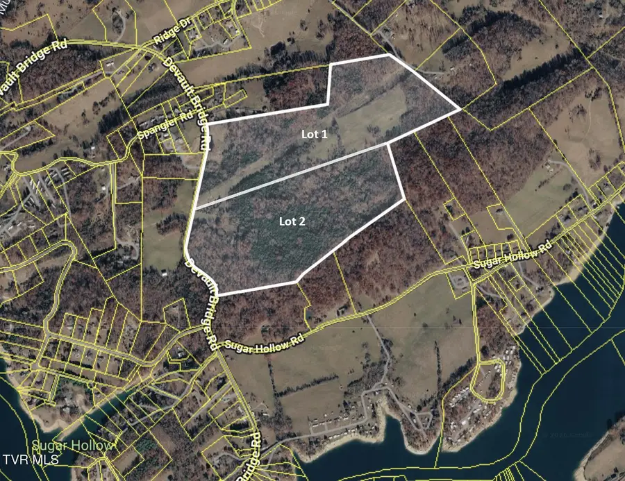 Lot 1 Devault Bridge Road, Piney Flats, TN 37686 - #2