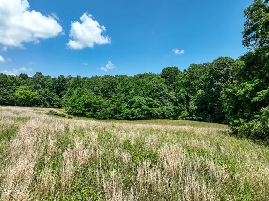 Lot 1 Devault Bridge Road, Piney Flats, TN 37686 - #3