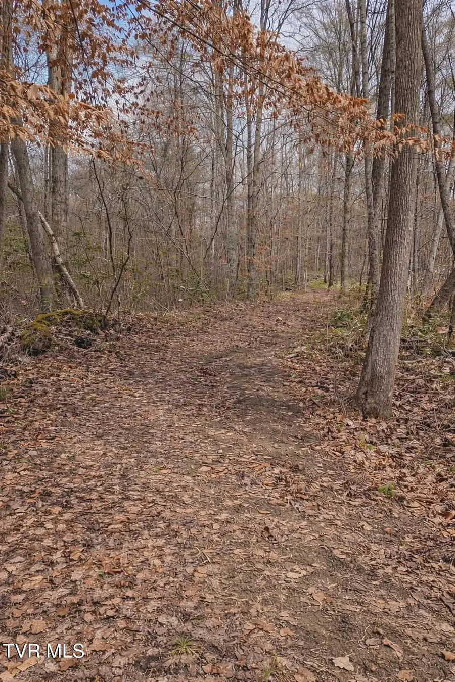 000 Byrd Creek, Sneedville, TN 37869 - #2