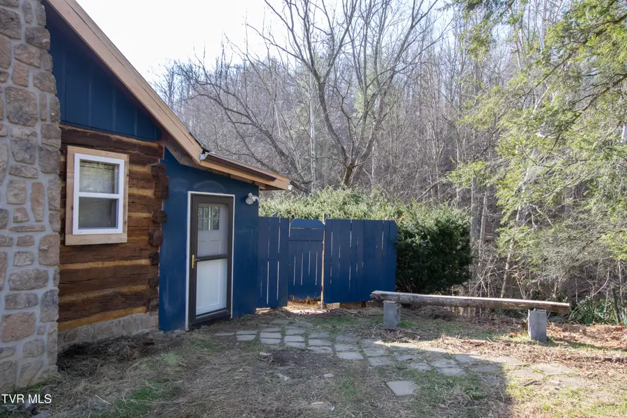 331 Bear Cage Road, Roan Mountain, TN 37687 - #3
