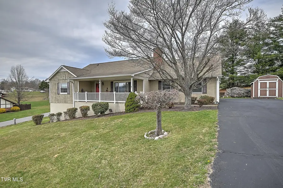 207 Hermosa Drive, Fall Branch, TN 37656 - #2