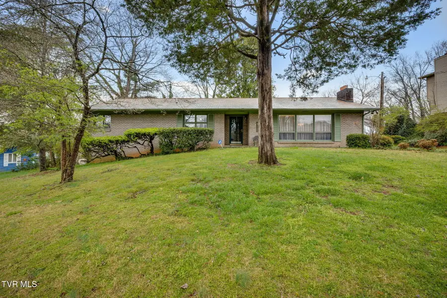 730 Outer Drive, Rogersville, TN 37857 - #2