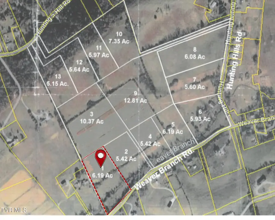 Lot 1 Weaver Branch Rd, Bluff City, TN 37618 - #3