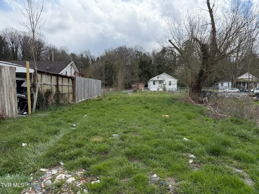 1166 Dorothy Street, Kingsport, TN 37660 - #2