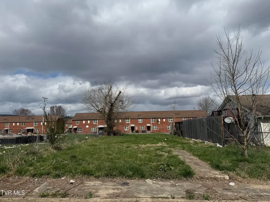 1166 Dorothy Street, Kingsport, TN 37660 - #3