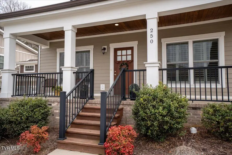 250 Princeton Gardens Drive, Johnson City, TN 37601 - #2