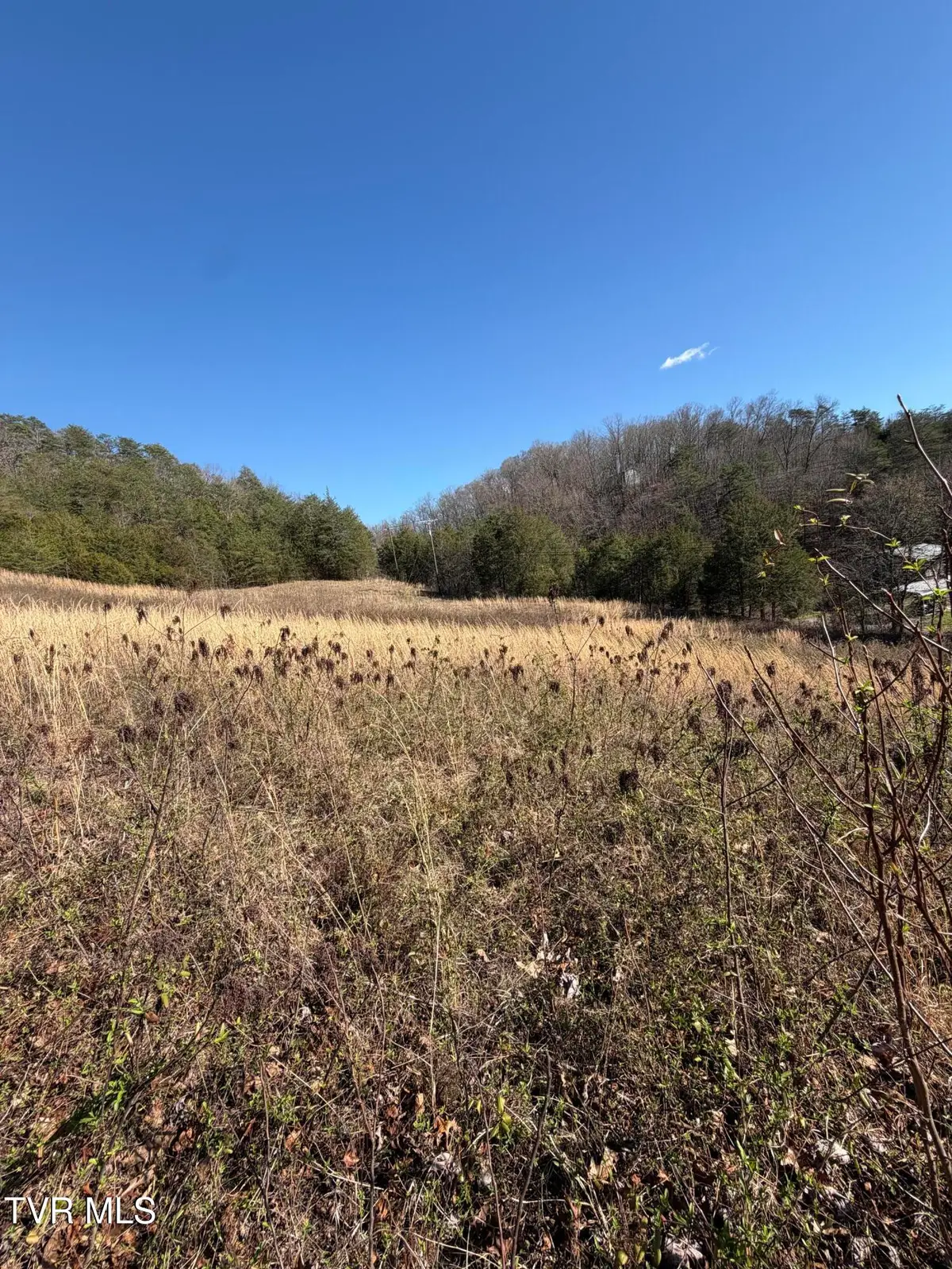 Tbd Shanks Gap Road, Rogersville, TN 37857 - #1