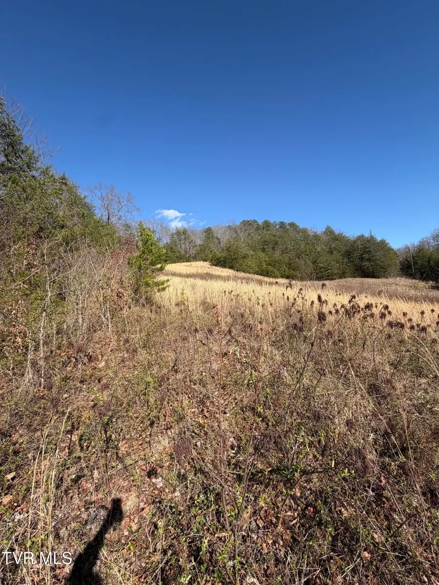 Tbd Shanks Gap Road, Rogersville, TN 37857 - #2