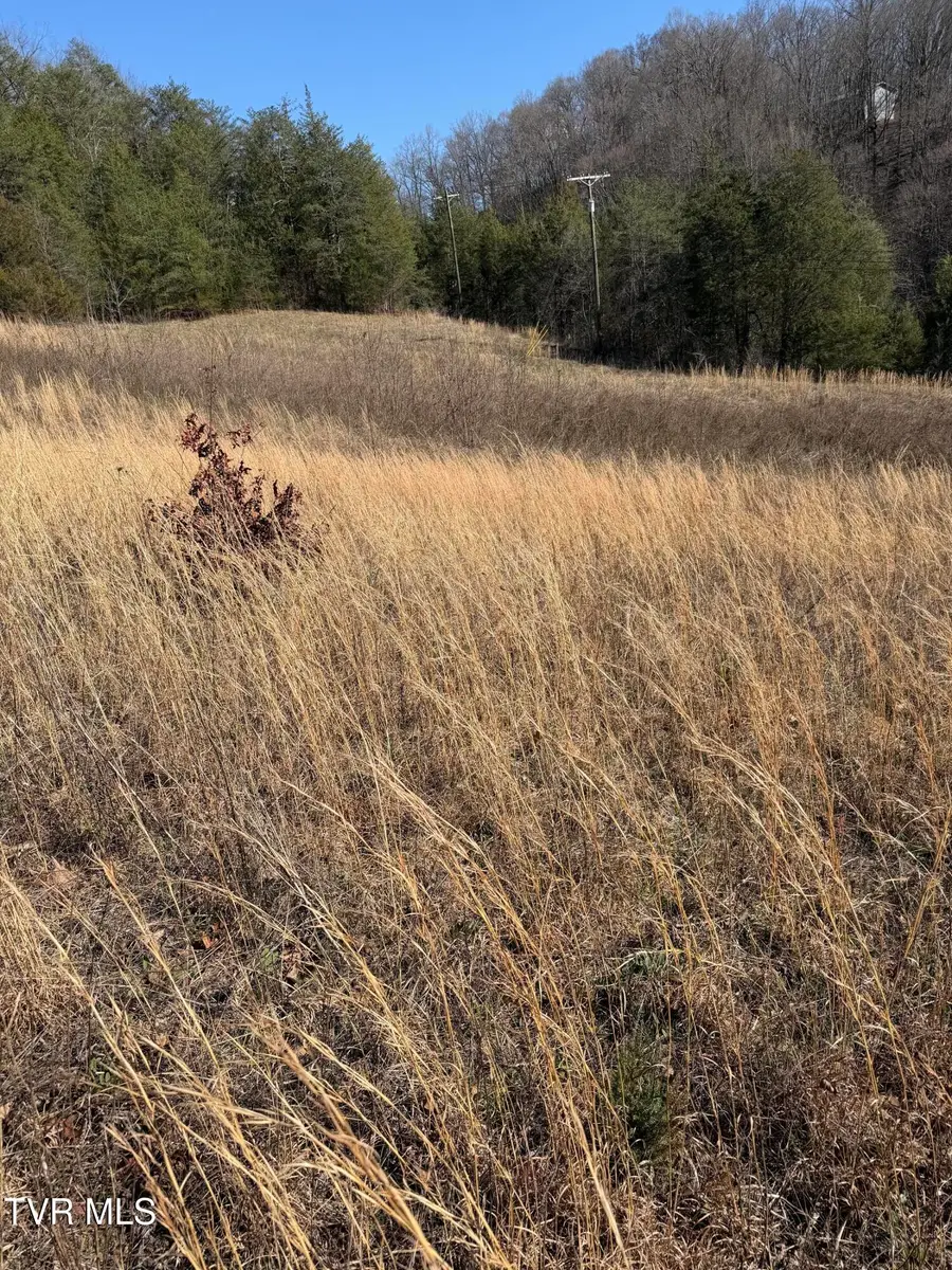 Tbd Shanks Gap Road, Rogersville, TN 37857 - #3