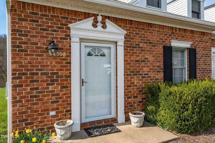 508 Hickory Road, Bristol, TN 37620 - #3