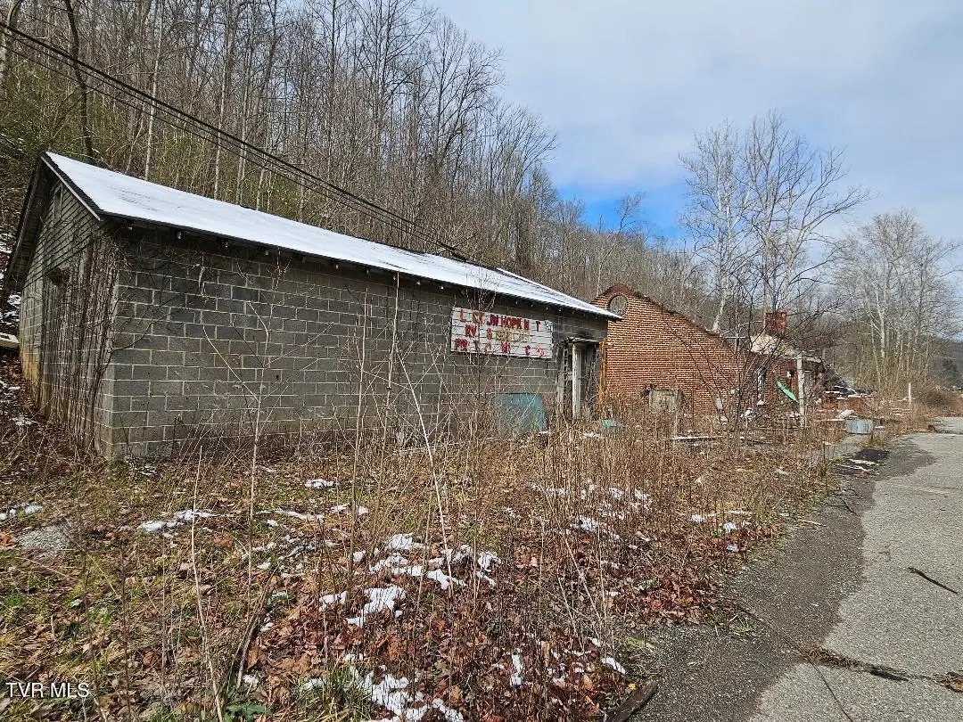 10007 Orby Cantrell Highway, Pound, VA 24279 - #1