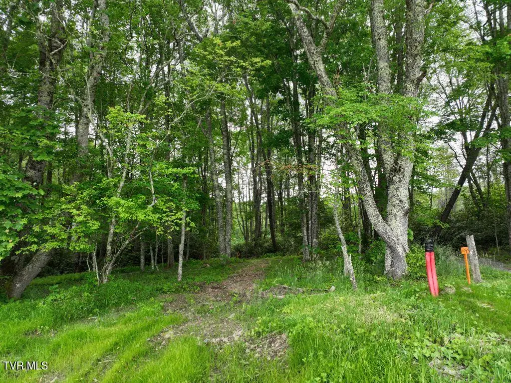 1764 Ripshin Mountain Road, Roan Mountain, TN 37687 - #1