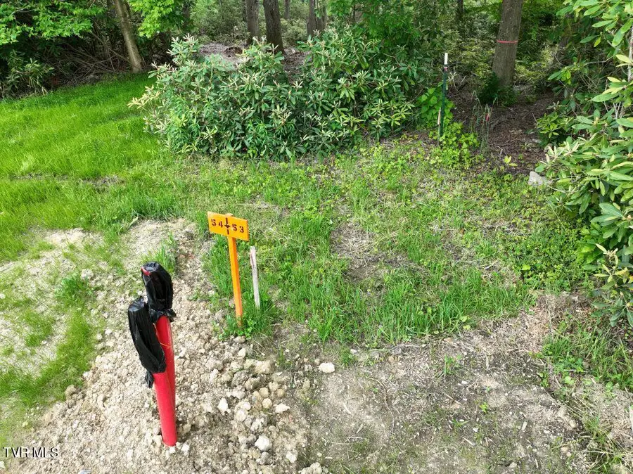 1772 Ripshin Mountain Road, Roan Mountain, TN 37687 - #3