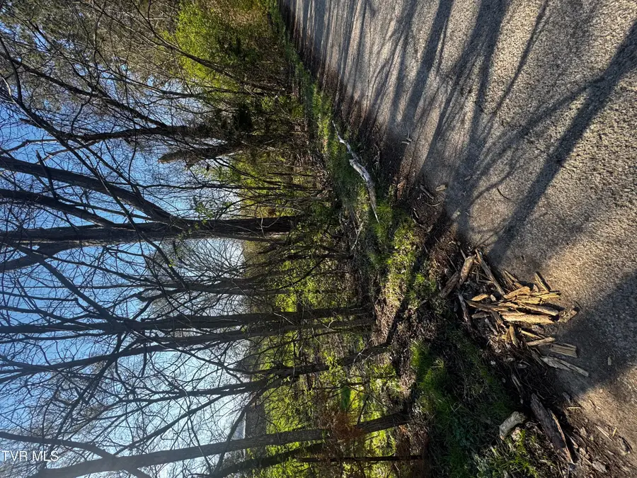 0 Kirkham Road, Bean Station, TN 37708 - #2