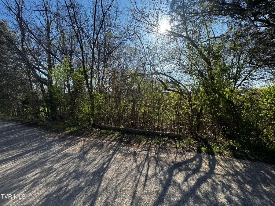 0 Kirkham Road, Bean Station, TN 37708 - #3