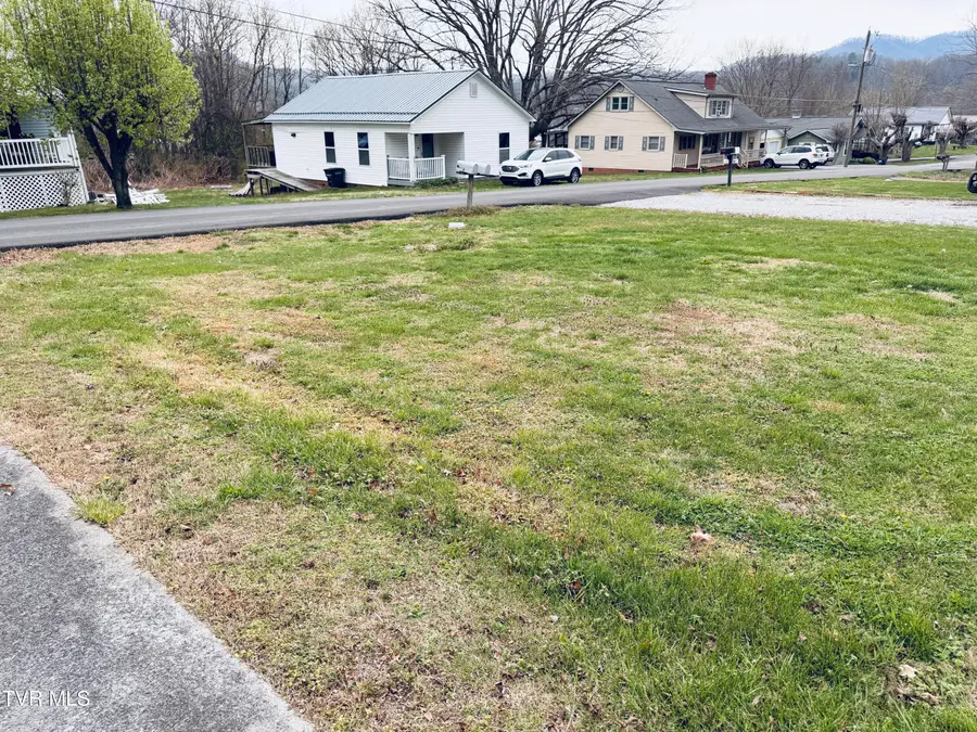 128 Parsley Street, Erwin, TN 37650 - #3