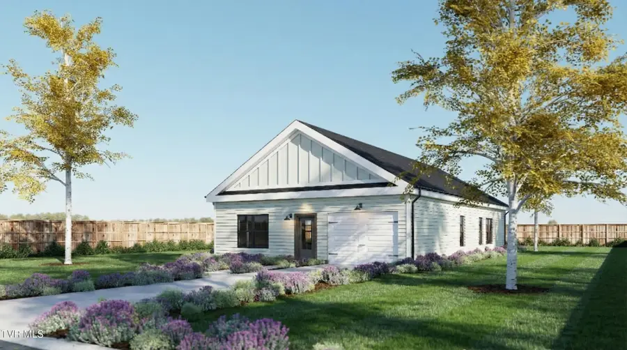 4183 Gambrel Oaks Street, Blountville, TN 37617 - #2