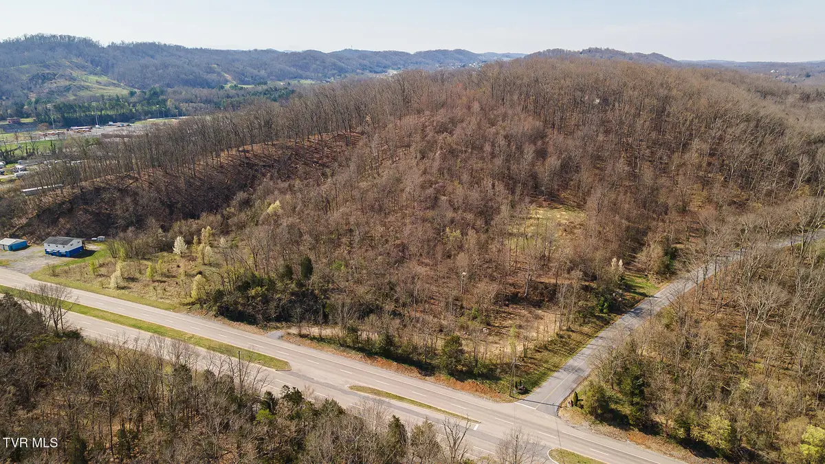 1116 Moreland Drive, Kingsport, TN 37664 - #1