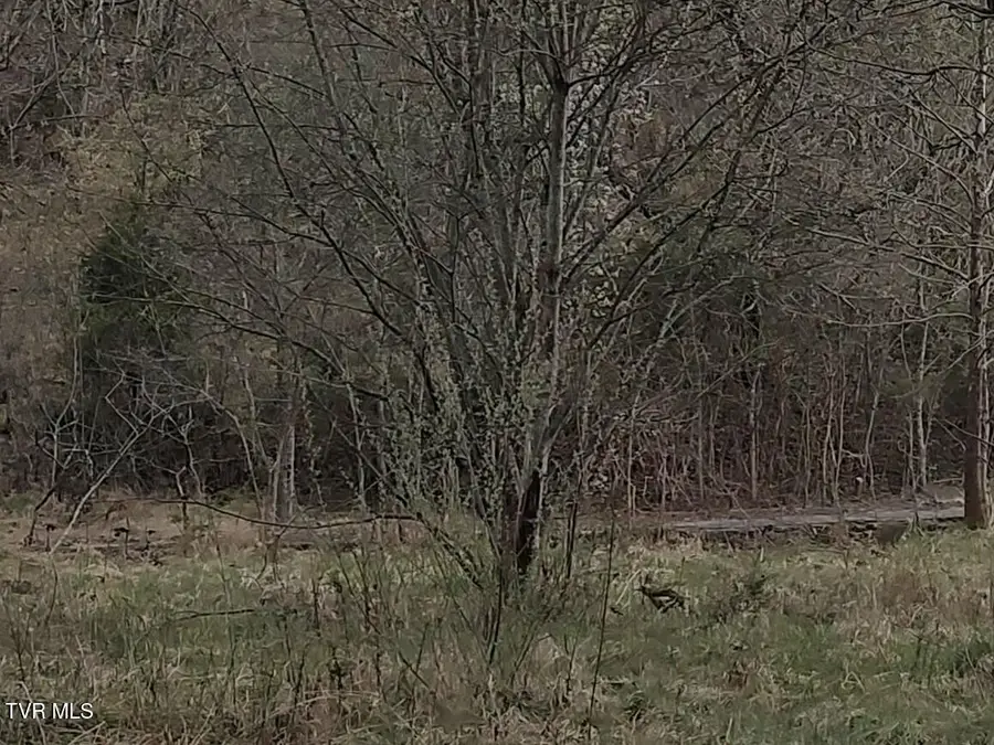 Tbd Blountville Blvd, Blountville, TN 37617 - #3