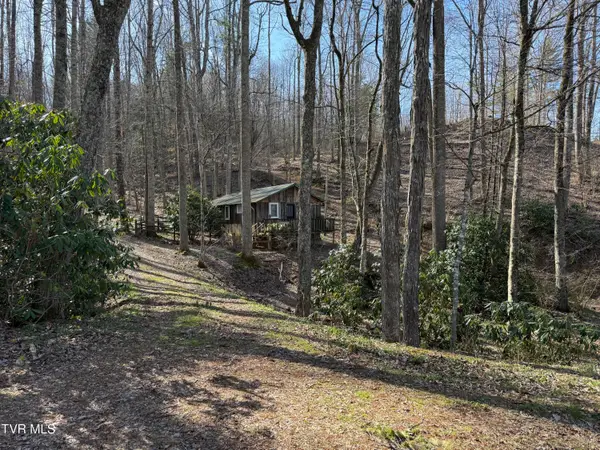 1770 Red Brush Road, Mountain City, TN 37683