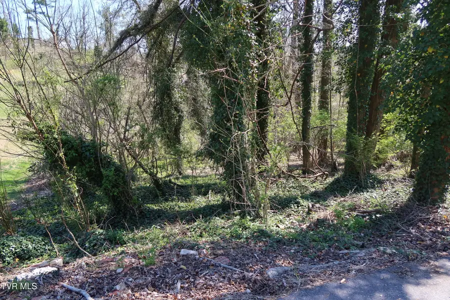 Tbd Crest Road, Kingsport, TN 37664 - #2