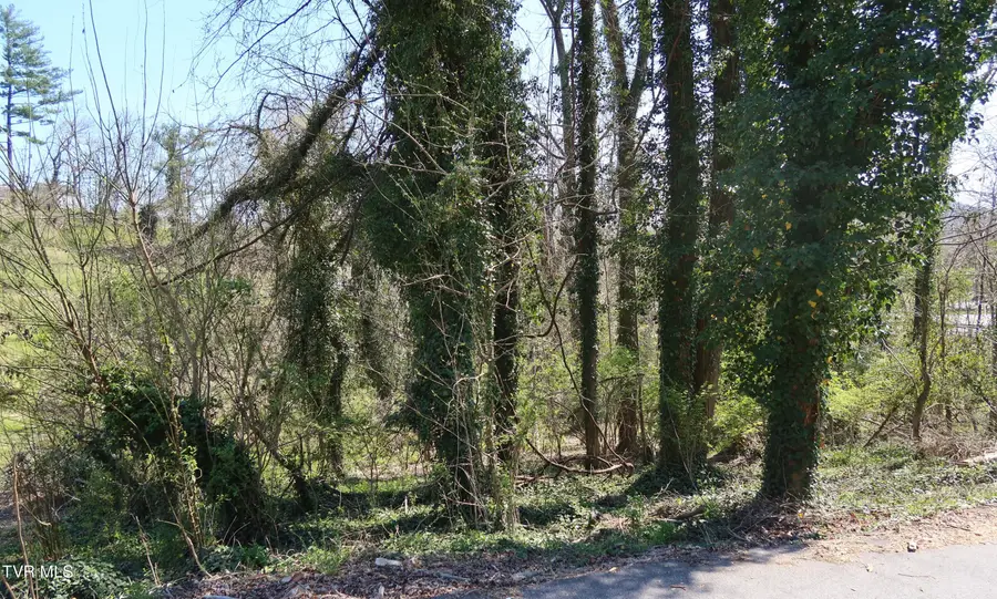 Tbd Crest Road, Kingsport, TN 37664 - #3