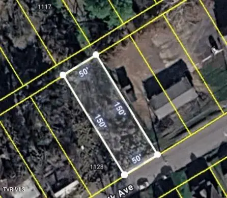 14 Norfolk Avenue, Bristol, VA 24201 - #2