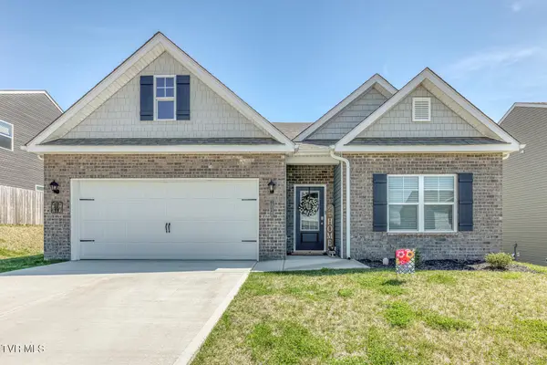 1028 Tara Court, Blountville, TN 37617