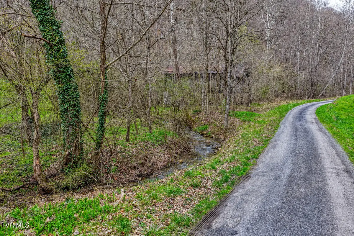 1795 Bear Hollow Road, Greeneville, TN 37745 - #1