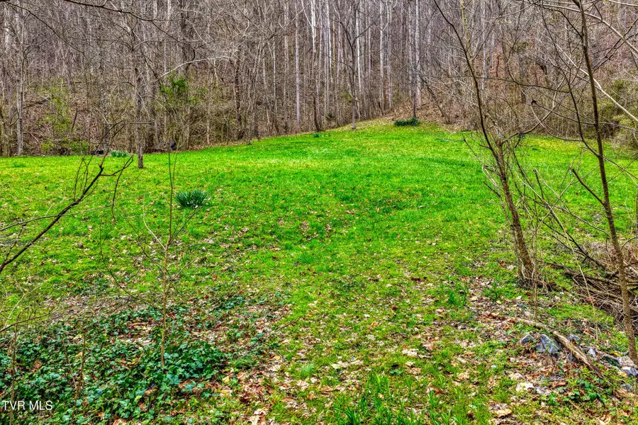 1795 Bear Hollow Road, Greeneville, TN 37745 - #2