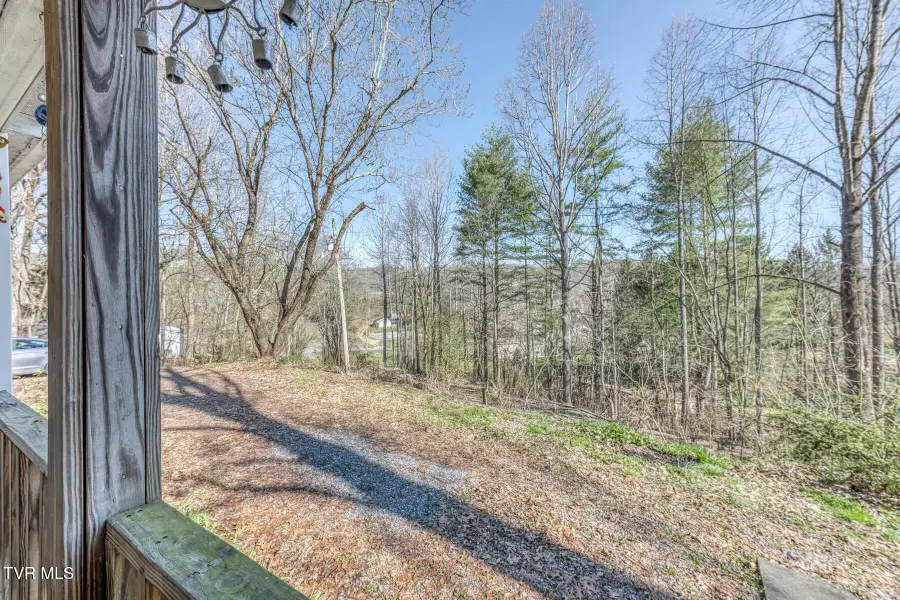 1424 Reedy Creek Road, Bristol, TN 37620 - #2