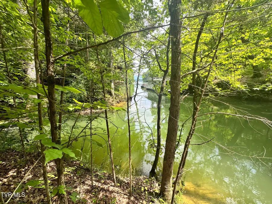 8 Woods Ridge Road, Dandridge, TN 37725 - #2