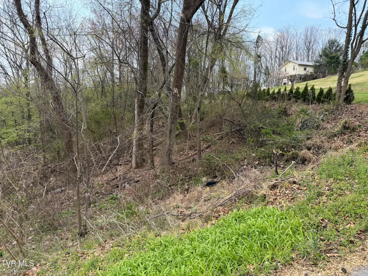 410 Crystal View Street, Kingsport, TN 37660 - #1