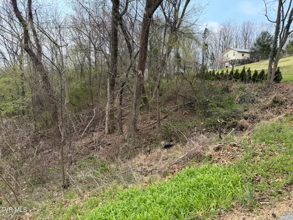 410 Crystal View Street, Kingsport, TN 37660