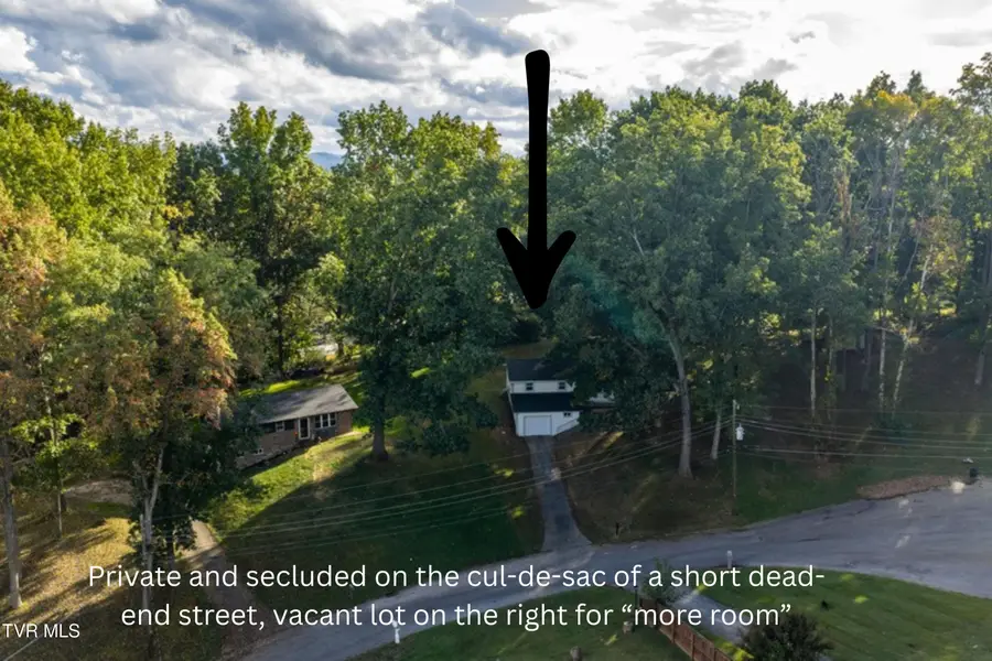 317 Rosemary Lane, Piney Flats, TN 37686 - #3