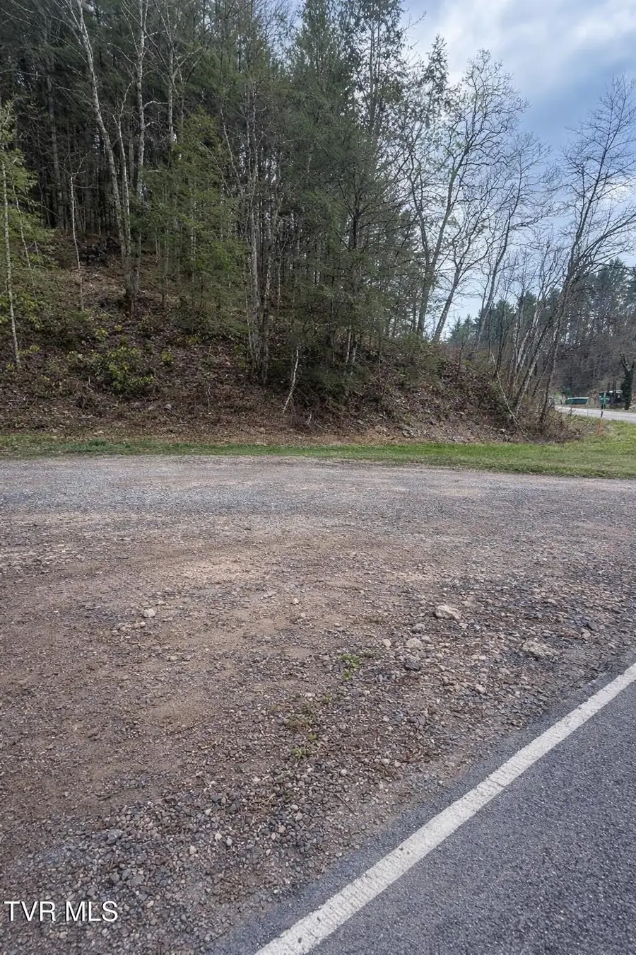 0 Konnarock Rd Road, Damascus, VA 24236 - #2