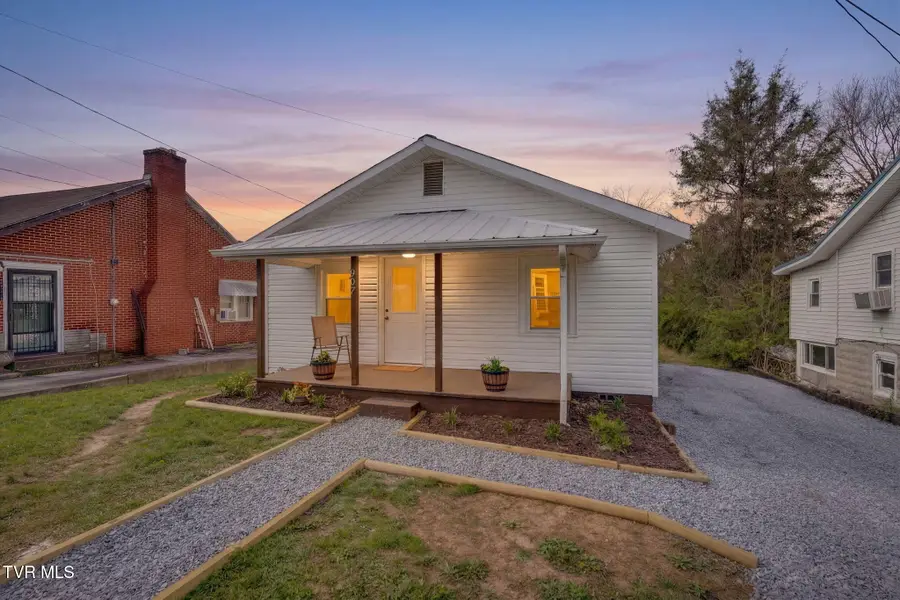 907 Hopson Street, Johnson City, TN 37601 - #2