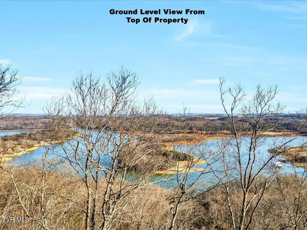 1167 Keetoowah Drive, Mooresburg, TN 37811 - #1