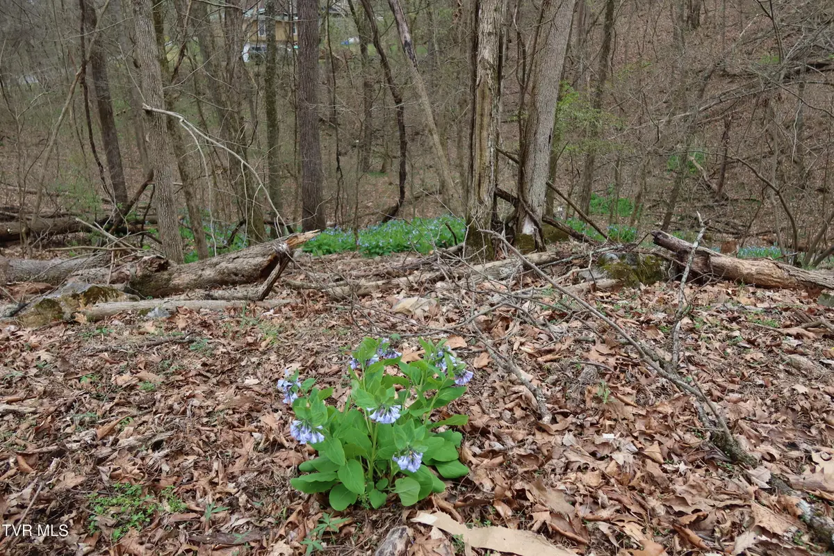 Tbd Lakeside Drive, Johnson City, TN 37615 - #1