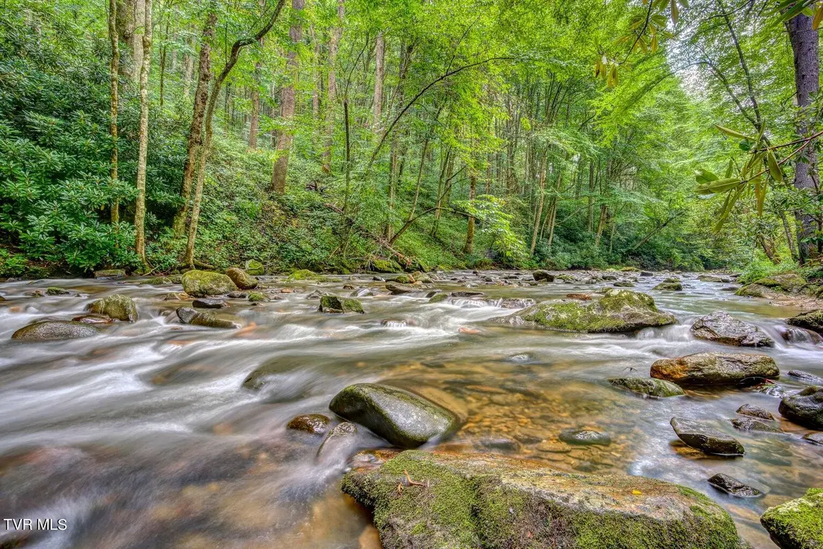 206 Toms Creek Drive, Roan Mountain, TN 37687 - #1