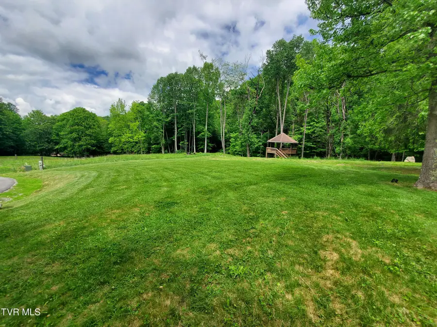 206 Toms Creek Drive, Roan Mountain, TN 37687 - #2