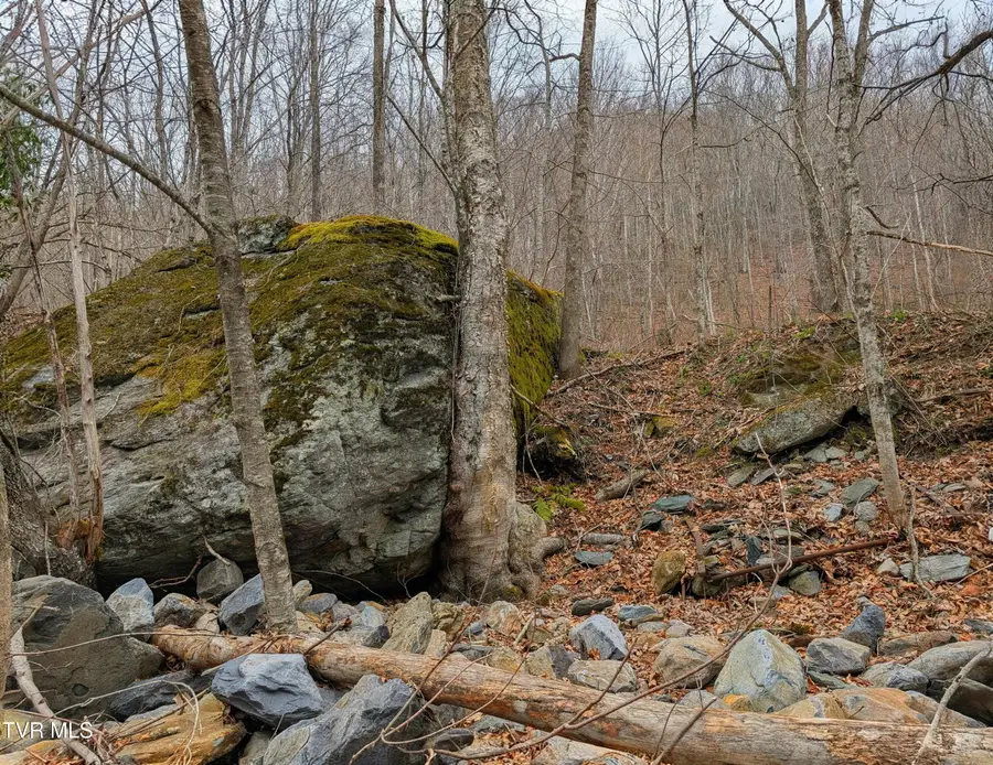 1105 Briar Run Lane, Mouth Of Wilson, VA 24363 - #3