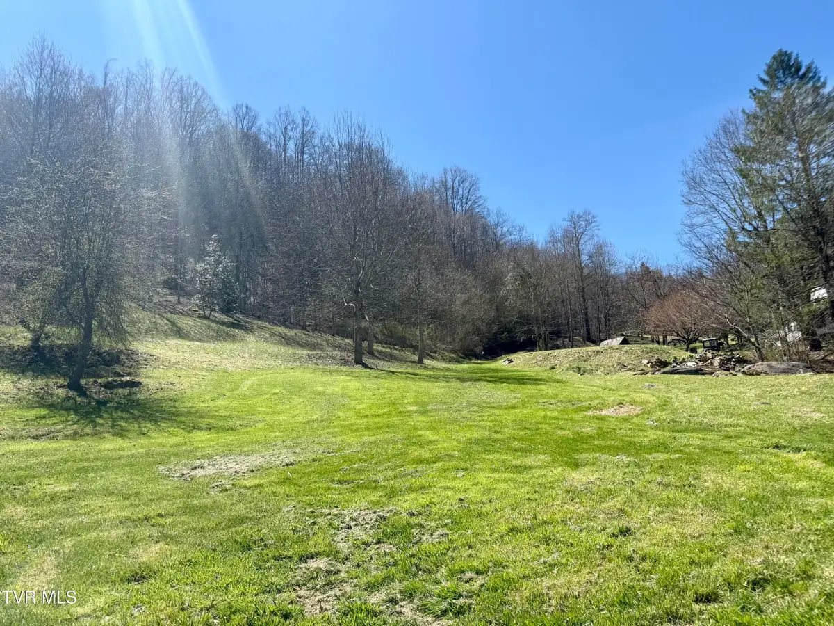 111 Doty Road, Roan Mountain, TN 37687 - #1