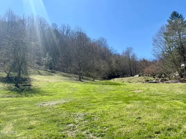 111 Doty Road, Roan Mountain, TN 37687