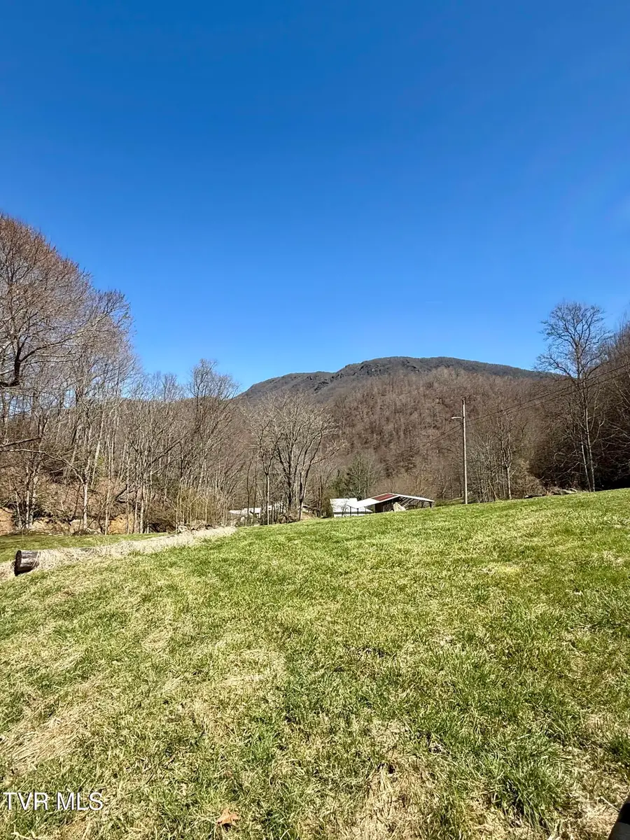 111 Doty Road, Roan Mountain, TN 37687 - #2