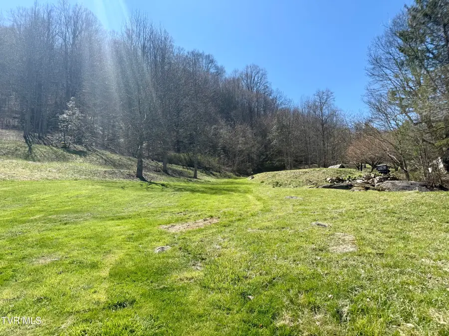 111 Doty Road, Roan Mountain, TN 37687 - #3