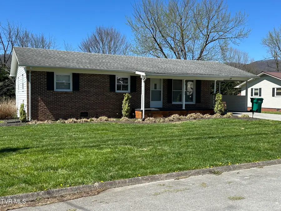 106 Buffalo Court, Erwin, TN 37650 - #2