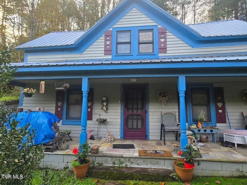 123 Mcmahan Gibbs Road, Roan Mountain, TN 37687 - #1