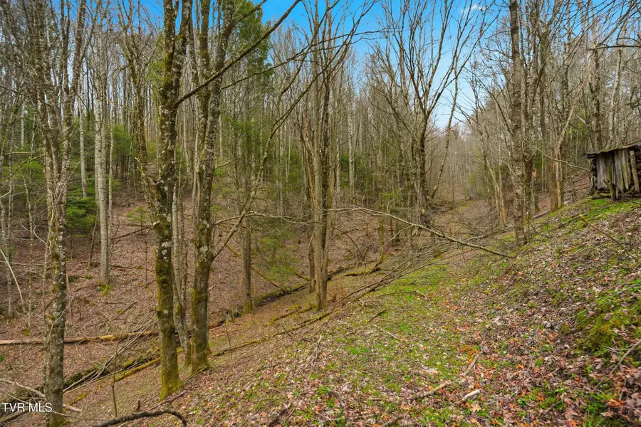 138 Birch Lane, Damascus, VA 24236 - #3