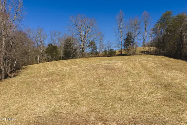 50 Acres Sutton Hollow Road, Sneedville, TN 37869